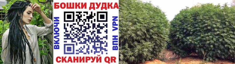 Виды наркоты Безенчук КОКАИН Меф Альфа ПВП Конопля