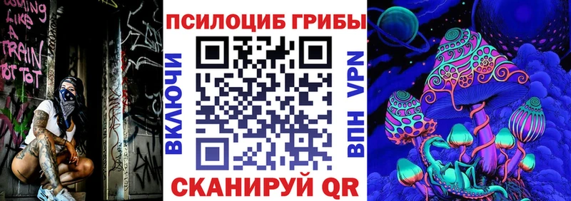 купить наркотики цена  Безенчук  Галлюциногенные грибы Psilocybe 