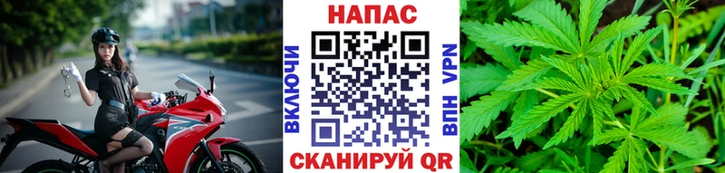 Шишки марихуана сатива  Безенчук 